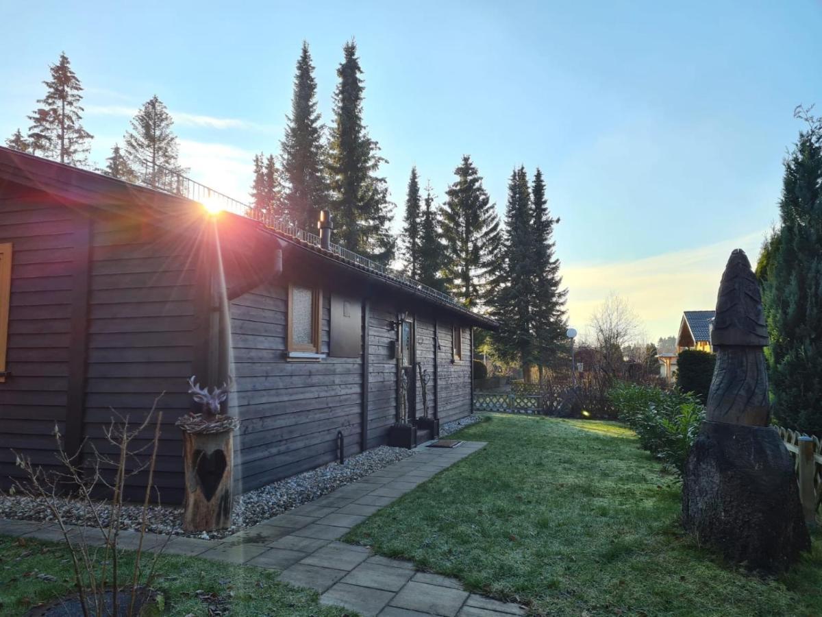 Huettenflair Am See Mit Kamin Clausthal-Zellerfeld Dış mekan fotoğraf