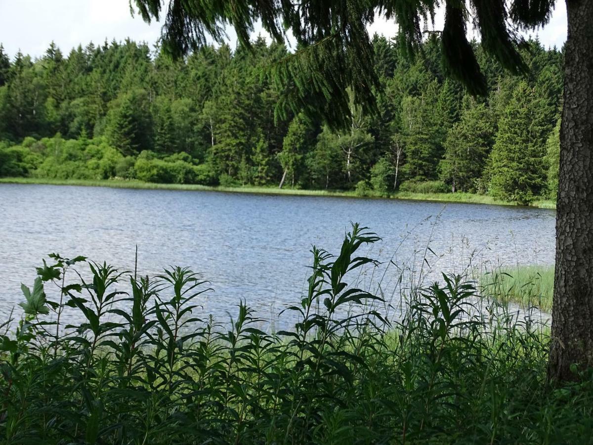 Huettenflair Am See Mit Kamin Clausthal-Zellerfeld Dış mekan fotoğraf